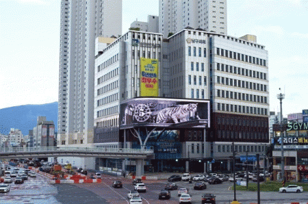 ���ֱ����� ���� �������� �߸�, �������� ��Ű�� ����